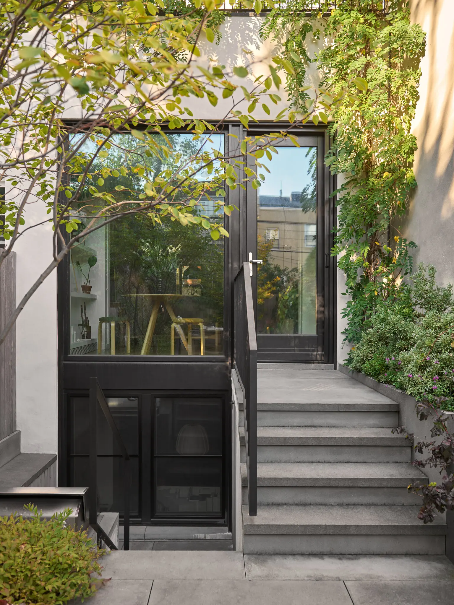 Concrete garden steps rise past a black steel handrail to black-framed glazed doors, with a lower-level window well below and climbing planting along the right wall.